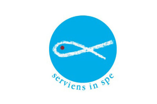 Logo SanVincenzo de Paoli